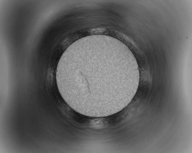 X0000096400761200802211203