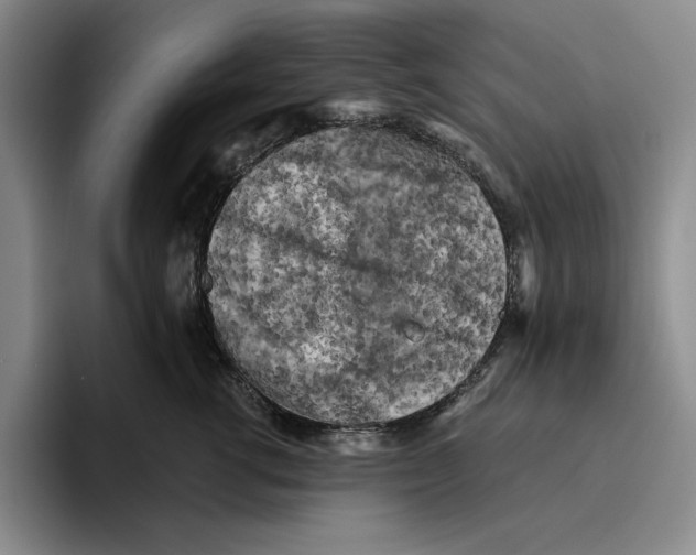 X0000096400762200802211203