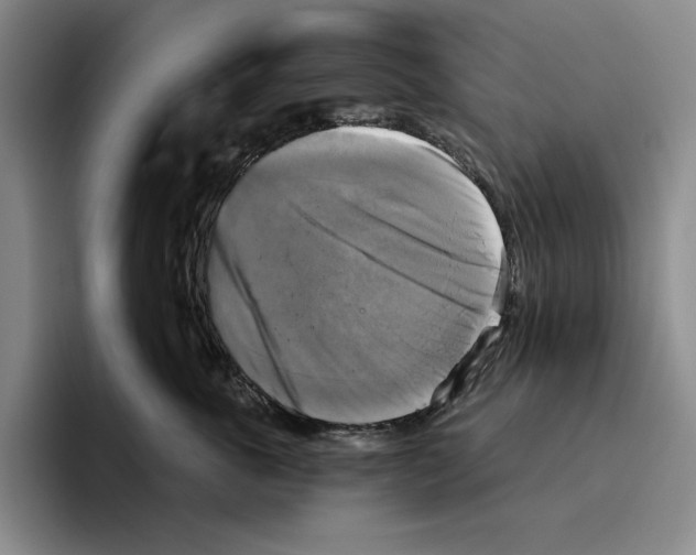 X0000096400763200802211203