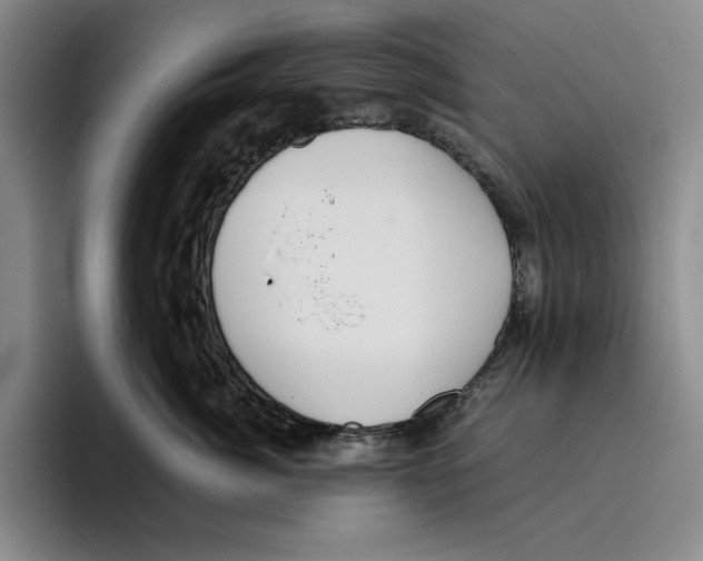 X0000096400764200802211203