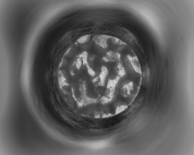 X0000096400765200802211203