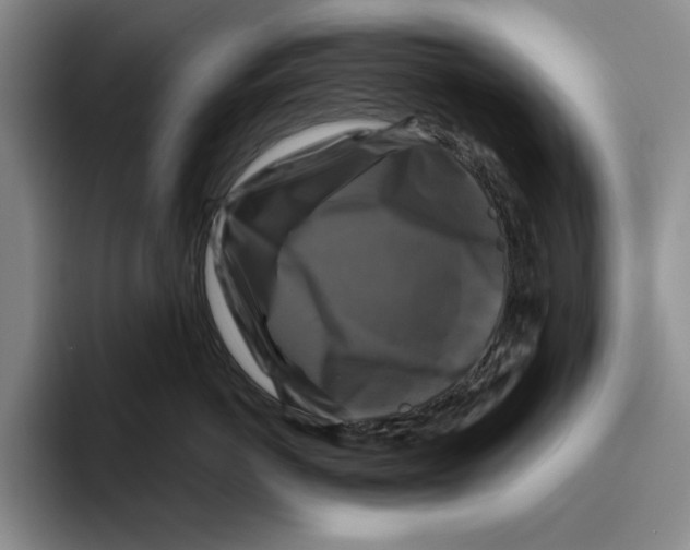 X0000096400766200802211203