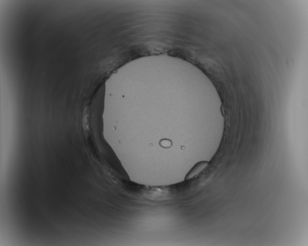 X0000096400768200802211203