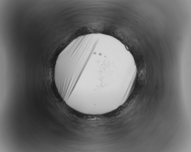 X0000096400772200802211203