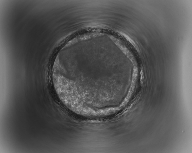 X0000096400775200802211203