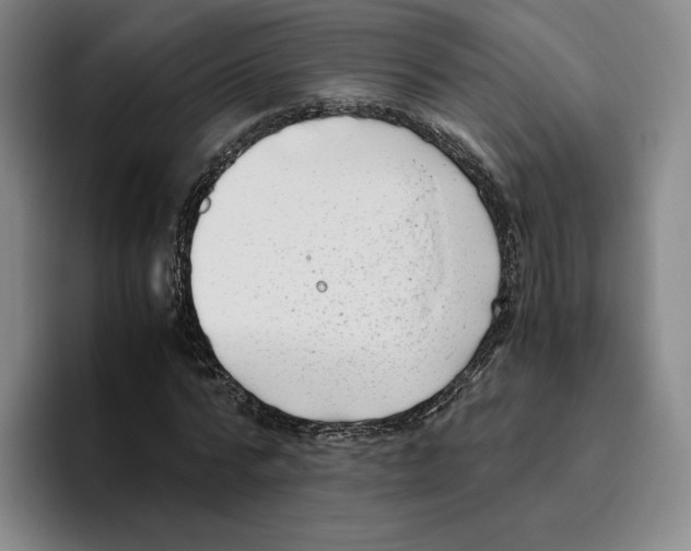 X0000096400776200802211203