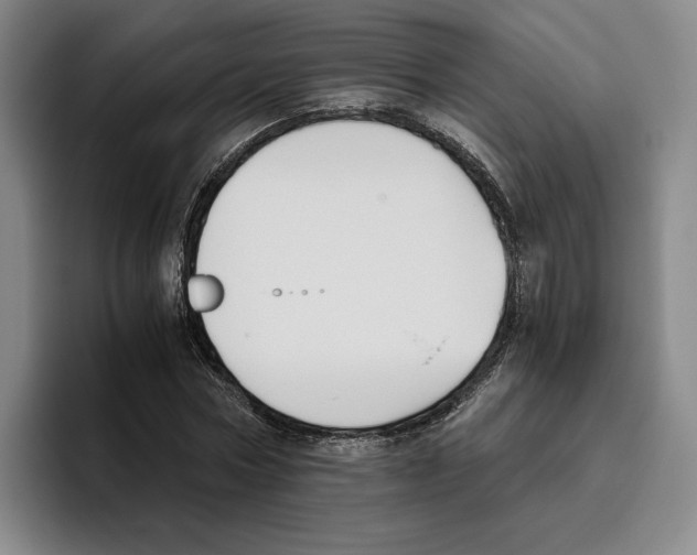 X0000096400778200802211202