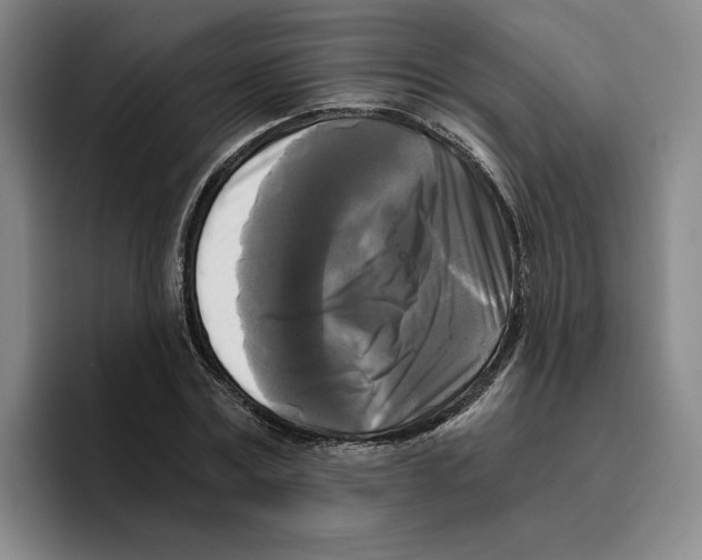 X0000096400779200802211202