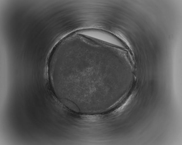 X0000096400781200802211202