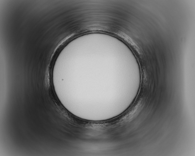 X0000096400782200802211202