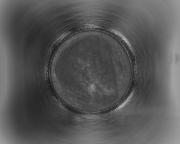 X0000096400785200802211202