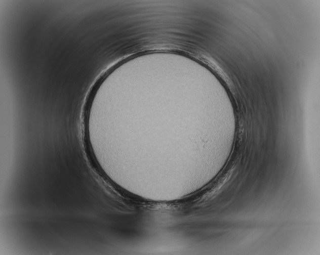 X0000096400787200802211202