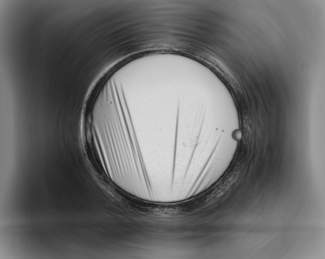 X0000096400788200802211202