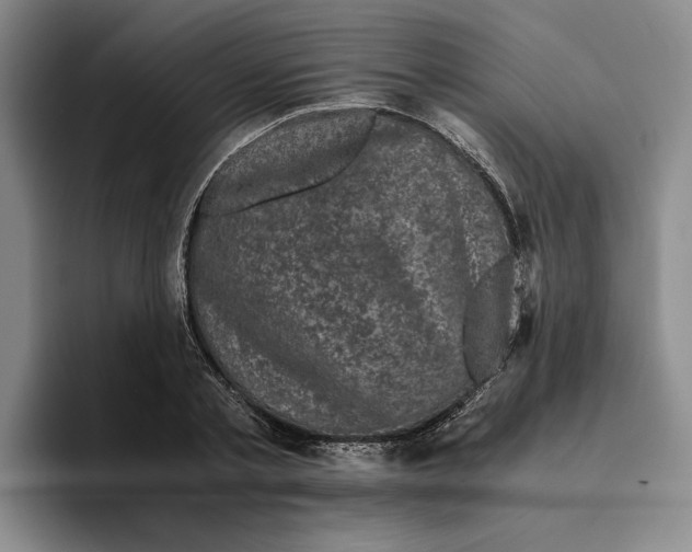 X0000096400789200802211202