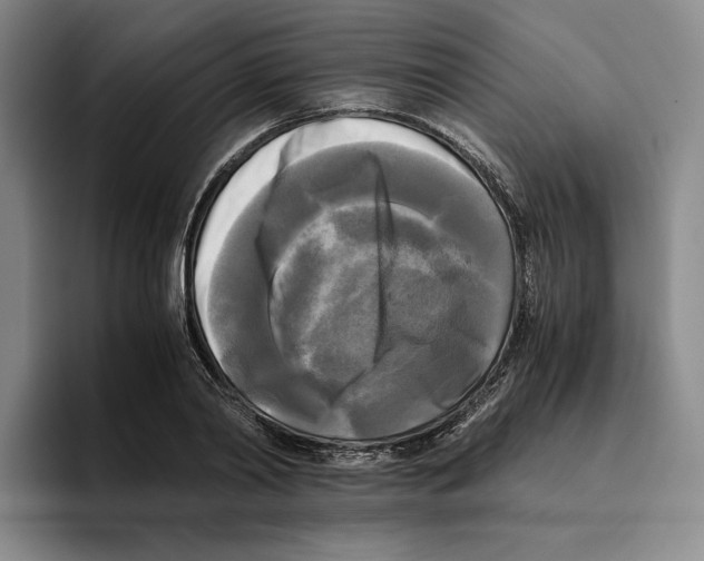 X0000096400790200802211202