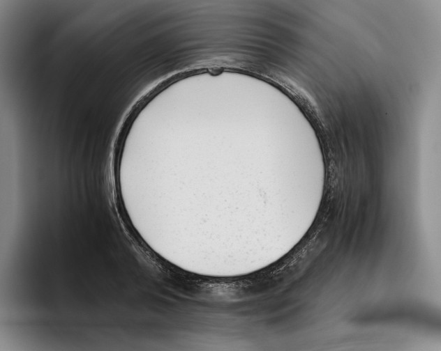 X0000096400792200802211202