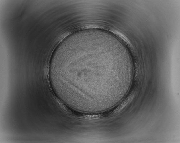 X0000096400793200802211202