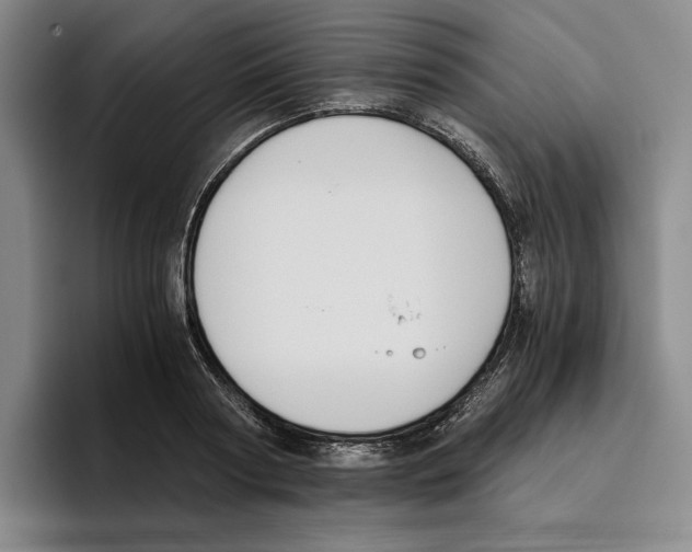 X0000096400794200802211202