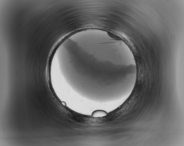 X0000096400796200802211202