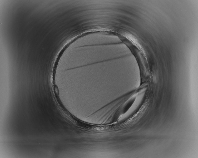 X0000096400797200802211202