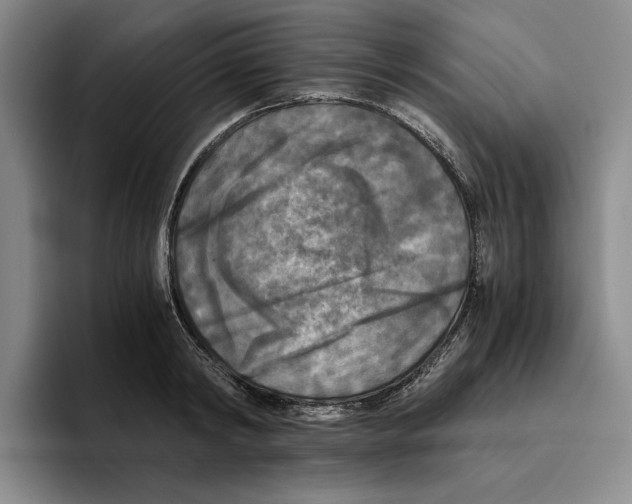 X0000096400798200802211202