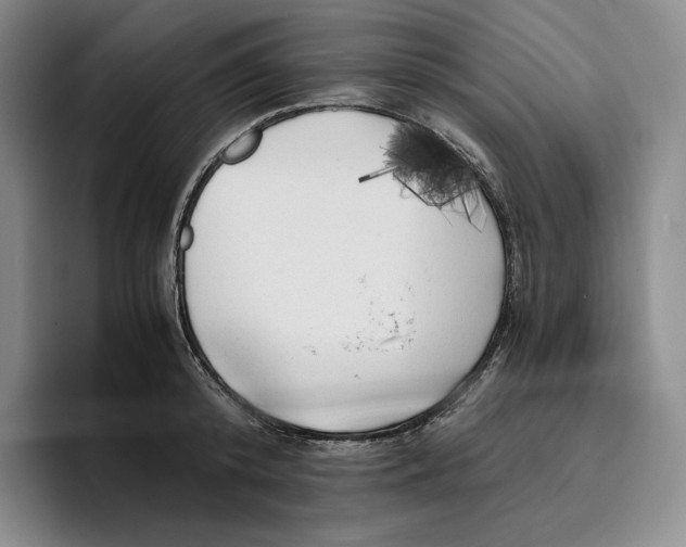 X0000096400800200802211202