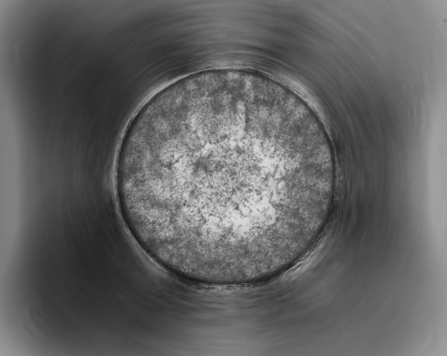 X0000096400803200802211202