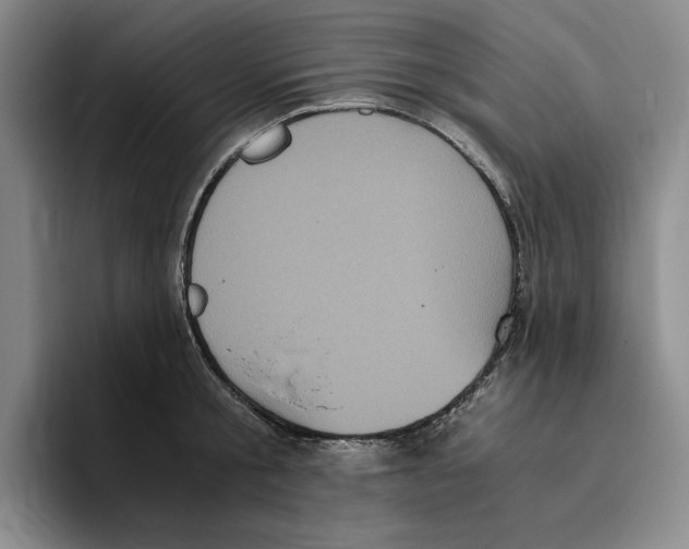 X0000096400805200802211202