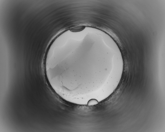 X0000096400806200802211202