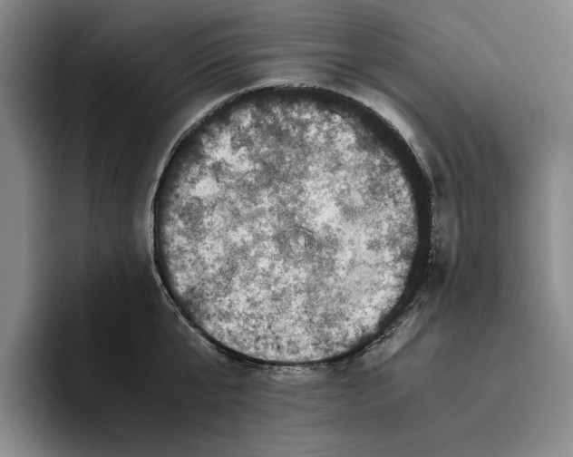 X0000096400807200802211202