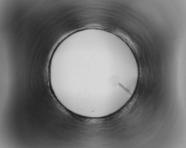 X0000096400808200802211202