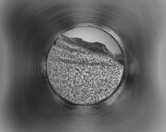 X0000096400809200802211202