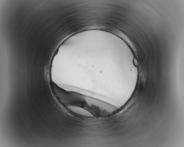 X0000096400810200802211202