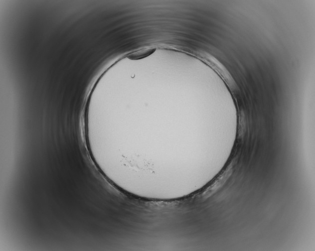 X0000096400812200802211202