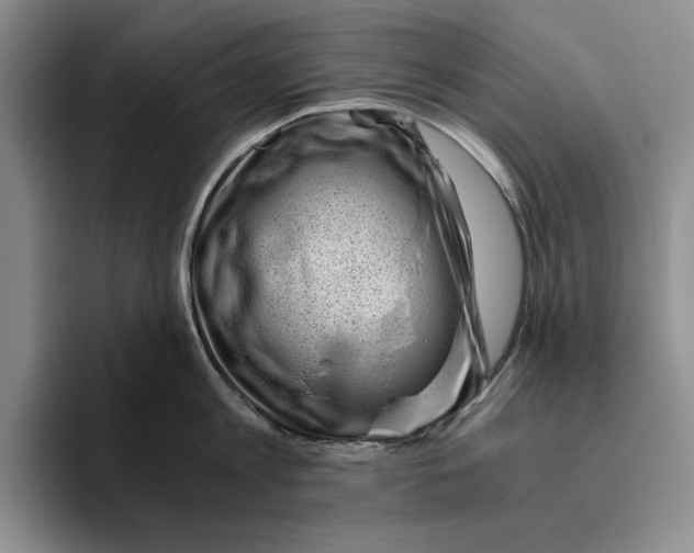 X0000096400813200802211202