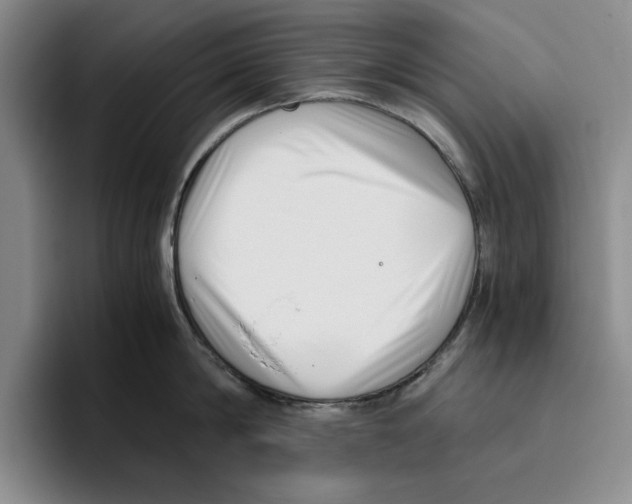 X0000096400814200802211202