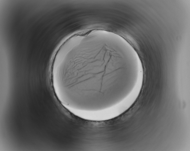 X0000096400816200802211202