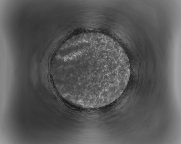 X0000096400817200802211201