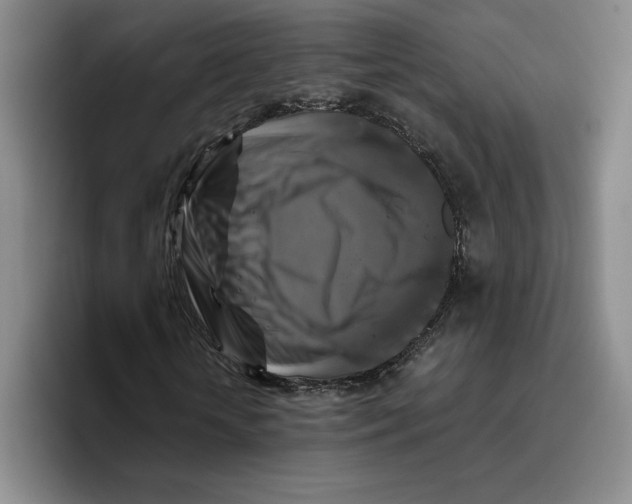 X0000096400818200802211201