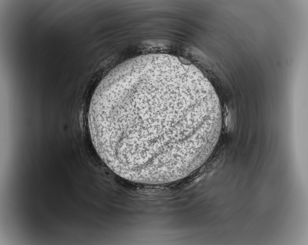 X0000096400819200802211201