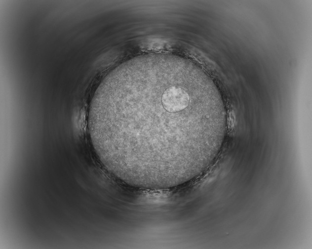 X0000096400820200802211201