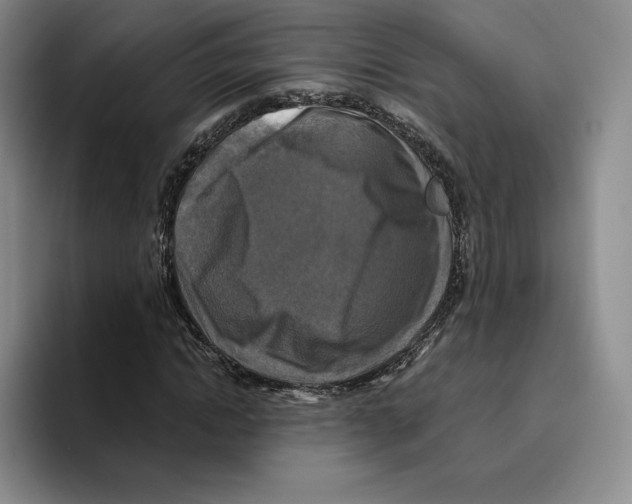 X0000096400822200802211201