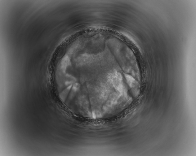 X0000096400823200802211201