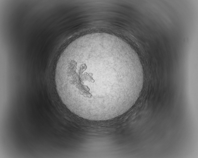 X0000096400824200802211201