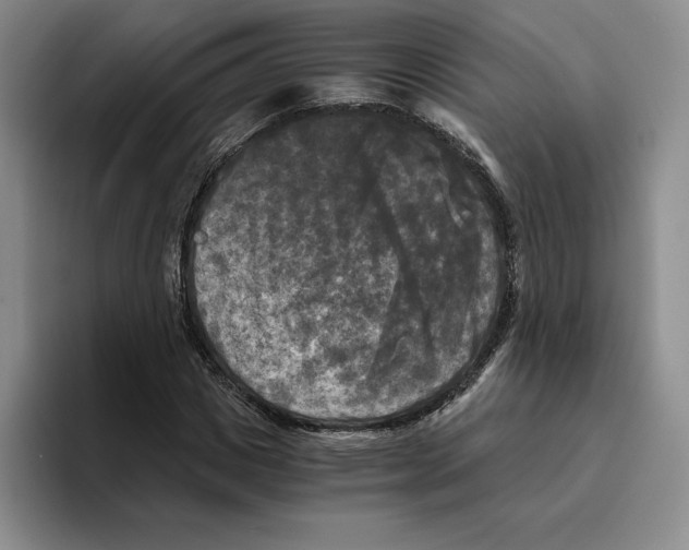 X0000096400825200802211201