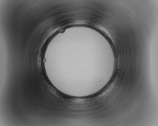 X0000096400827200802211201