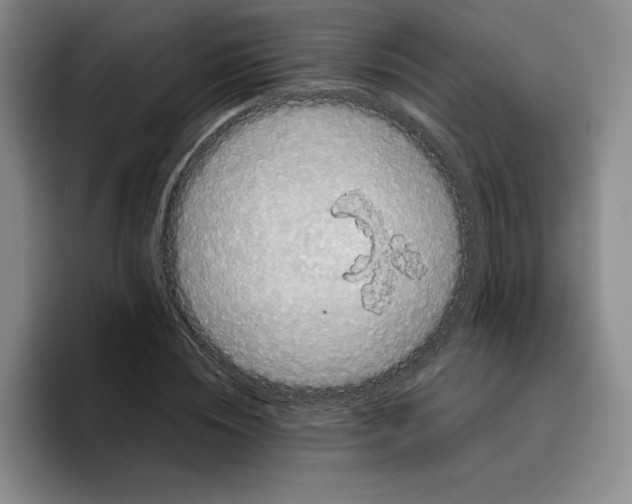 X0000096400828200802211201