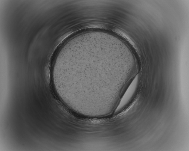 X0000096400829200802211201