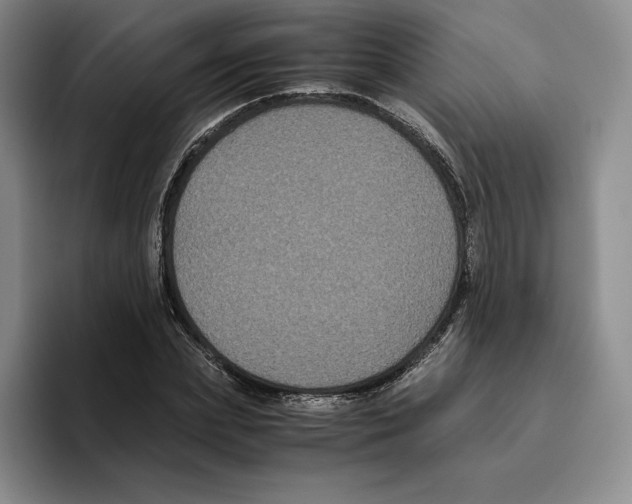 X0000096400831200802211201