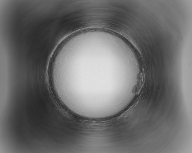 X0000096400832200802211201